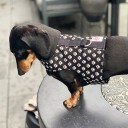 Easyfit Dog Harness - Size S